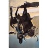 Rare collectable postcards of Chad. Vintage Postcards of Chad
