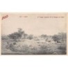Rare collectable postcards of Chad. Vintage Postcards of Chad