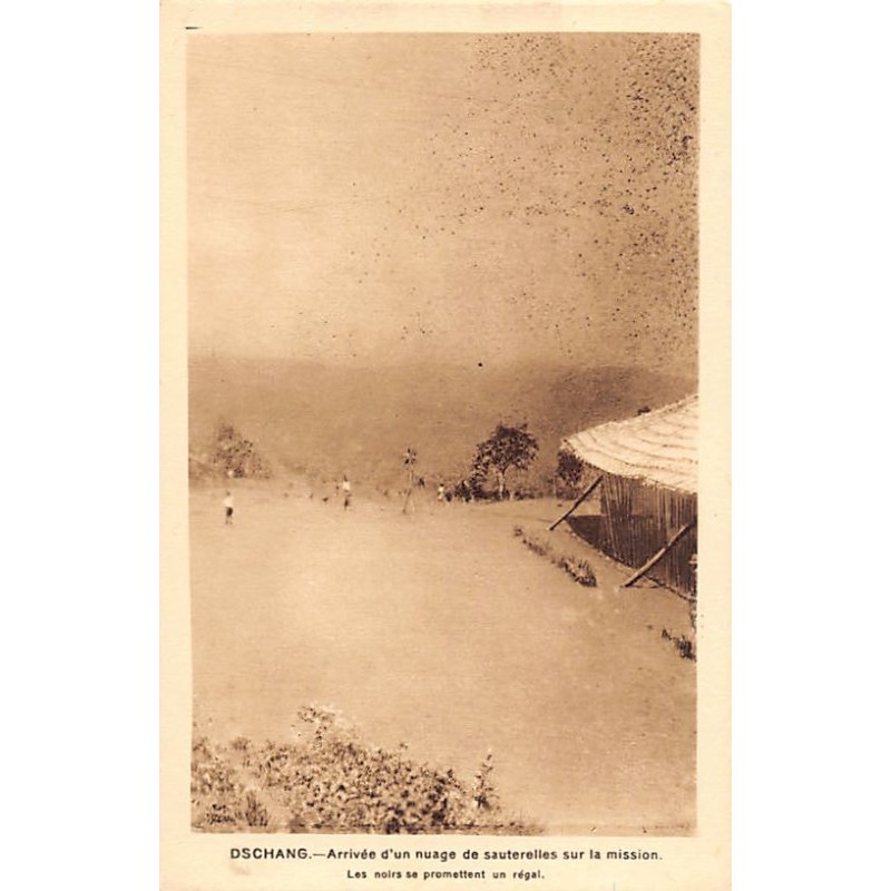 Rare collectable postcards of Cameroon. Vintage Postcards of Cameroon