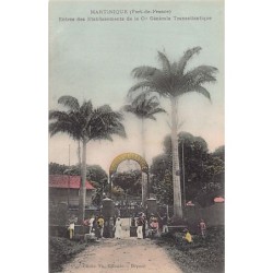 Rare collectable postcards of Martinique. Vintage Postcards of Martinique