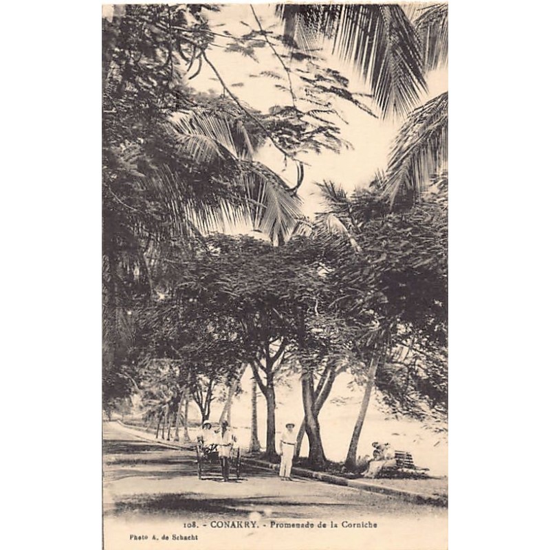 Rare collectable postcards of Guinea (Conakry). Vintage Postcards of Guinea (Conakry)