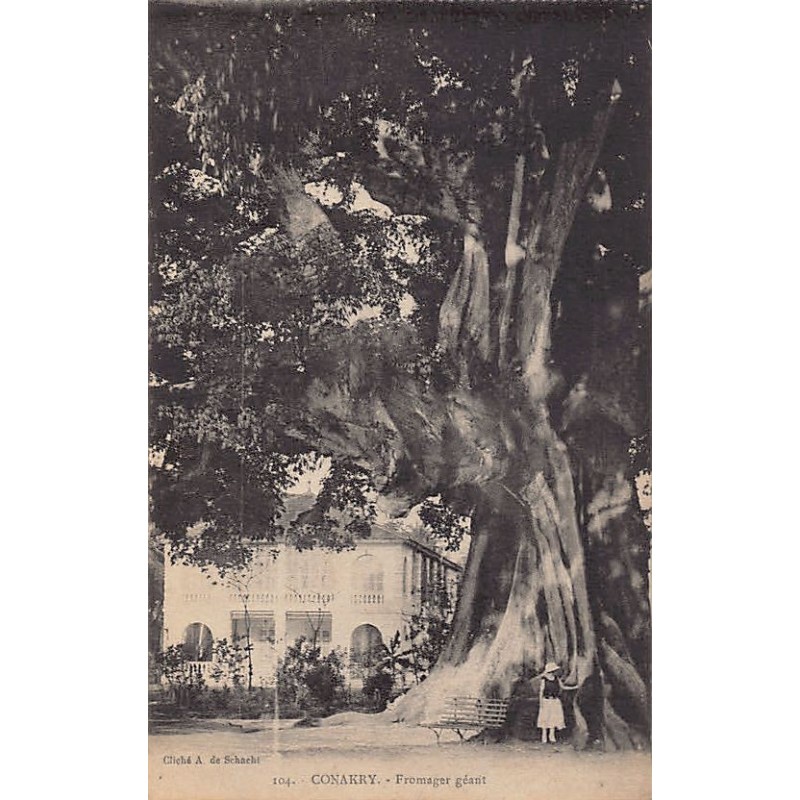 Rare collectable postcards of Guinea (Conakry). Vintage Postcards of Guinea (Conakry)