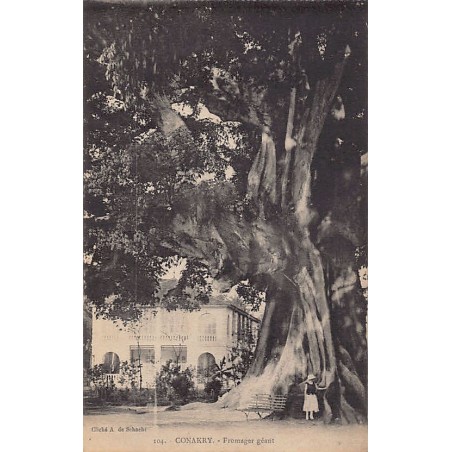 Rare collectable postcards of Guinea (Conakry). Vintage Postcards of Guinea (Conakry)