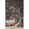 Rare collectable postcards of Guinea (Conakry). Vintage Postcards of Guinea (Conakry)