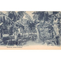 Rare collectable postcards of Guinea (Conakry). Vintage Postcards of Guinea (Conakry)