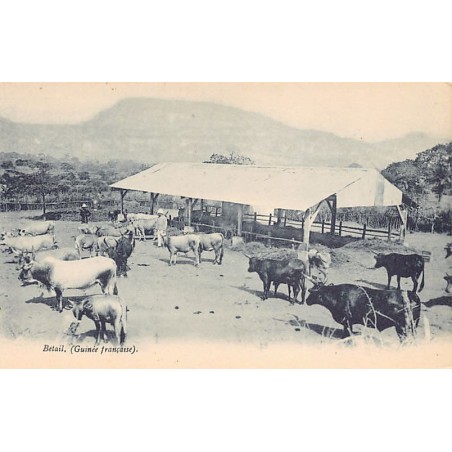 Rare collectable postcards of Guinea (Conakry). Vintage Postcards of Guinea (Conakry)