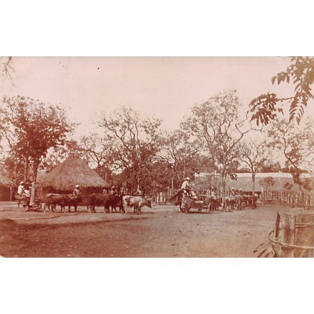 Rare collectable postcards of Guinea (Conakry). Vintage Postcards of Guinea (Conakry)