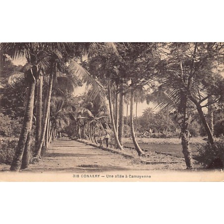 Rare collectable postcards of Guinea (Conakry). Vintage Postcards of Guinea (Conakry)