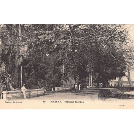 Rare collectable postcards of Guinea (Conakry). Vintage Postcards of Guinea (Conakry)