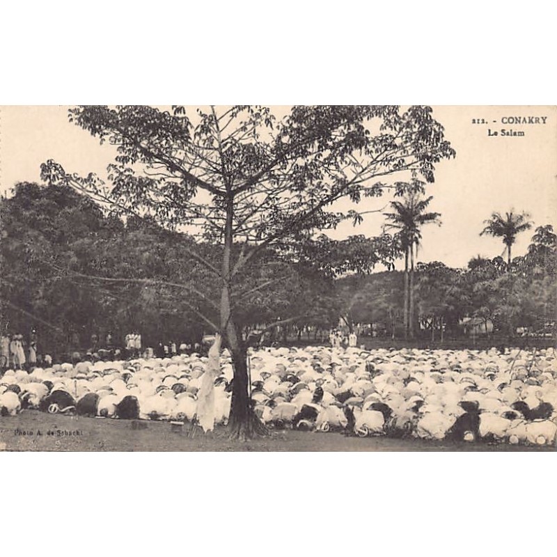 Rare collectable postcards of Guinea (Conakry). Vintage Postcards of Guinea (Conakry)