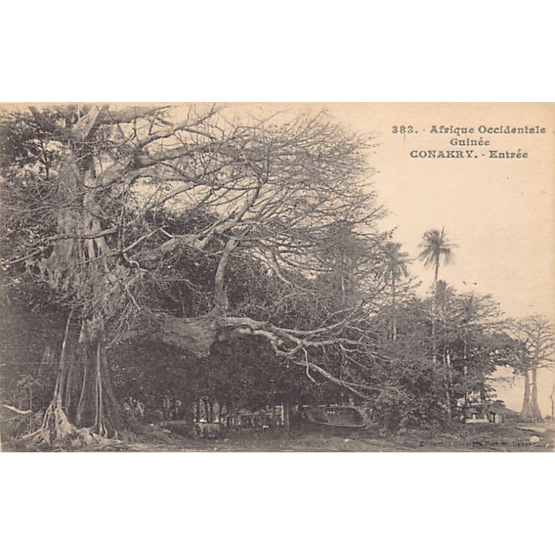 Rare collectable postcards of Guinea (Conakry). Vintage Postcards of Guinea (Conakry)