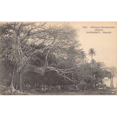 Rare collectable postcards of Guinea (Conakry). Vintage Postcards of Guinea (Conakry)