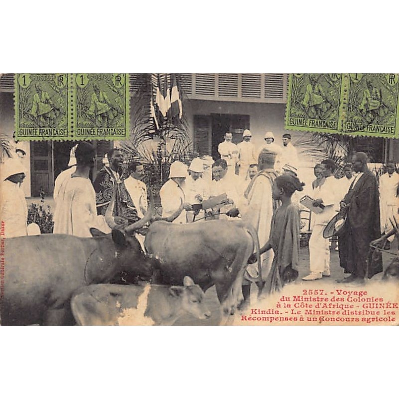 Rare collectable postcards of Guinea (Conakry). Vintage Postcards of Guinea (Conakry)