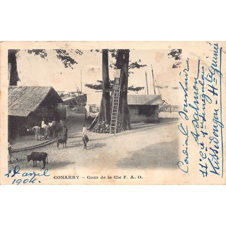 Rare collectable postcards of Guinea (Conakry). Vintage Postcards of Guinea (Conakry)