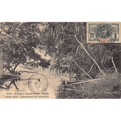 Rare collectable postcards of Guinea (Conakry). Vintage Postcards of Guinea (Conakry)