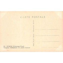 Rare collectable postcards of Central African Republic. Vintage Postcards of Central African Republic