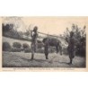 Rare collectable postcards of Central African Republic. Vintage Postcards of Central African Republic