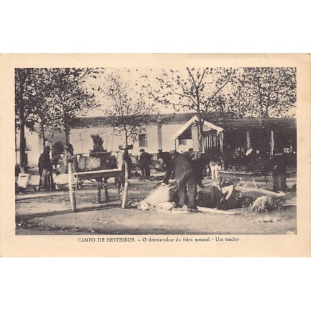 Rare collectable postcards of PORTUGAL. Vintage Postcards of PORTUGAL