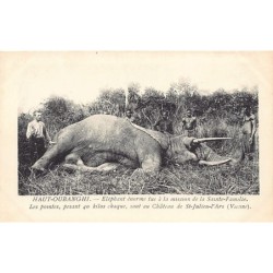 Rare collectable postcards of Central African Republic. Vintage Postcards of Central African Republic