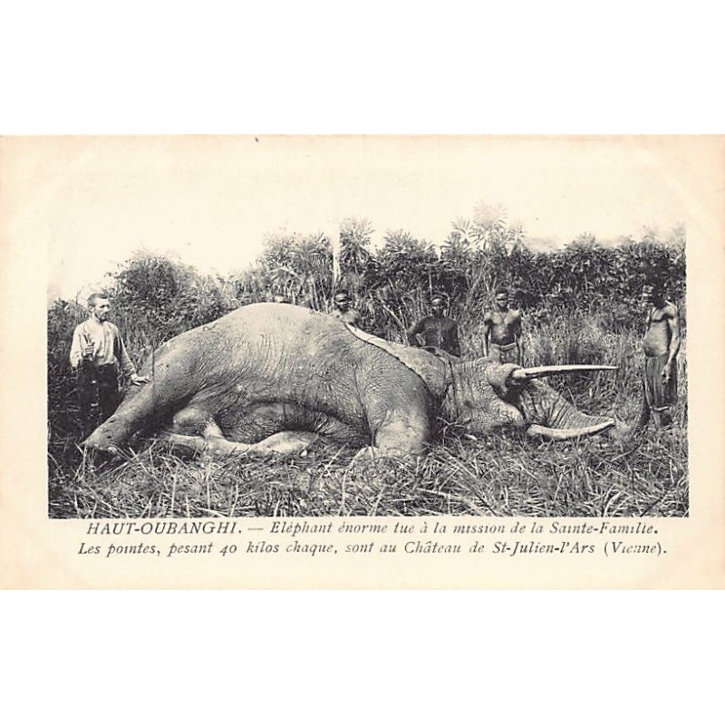Rare collectable postcards of Central African Republic. Vintage Postcards of Central African Republic