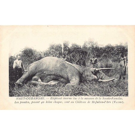Rare collectable postcards of Central African Republic. Vintage Postcards of Central African Republic