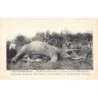 Rare collectable postcards of Central African Republic. Vintage Postcards of Central African Republic
