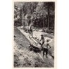 Rare collectable postcards of Central African Republic. Vintage Postcards of Central African Republic