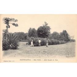 Rare collectable postcards of Central African Republic. Vintage Postcards of Central African Republic