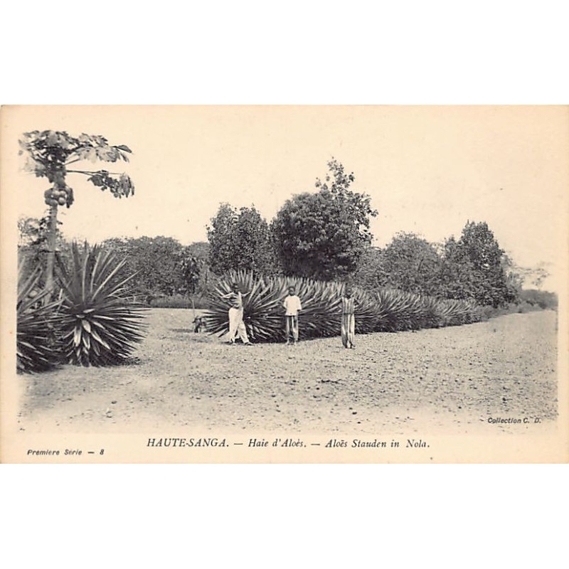 Rare collectable postcards of Central African Republic. Vintage Postcards of Central African Republic