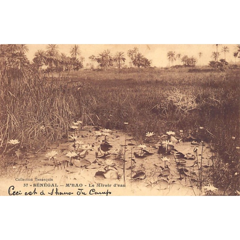 Rare collectable postcards of Senegal. Vintage Postcards of Senegal