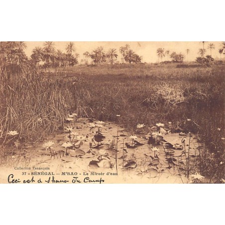 Rare collectable postcards of Senegal. Vintage Postcards of Senegal