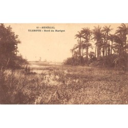 Rare collectable postcards of Senegal. Vintage Postcards of Senegal