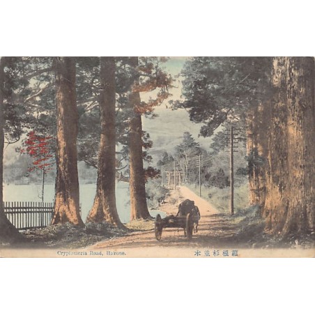 Rare collectable postcards of Japan. Vintage Postcards of Japan