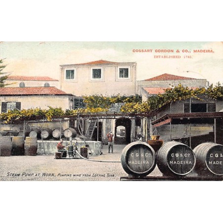 Rare collectable postcards of PORTUGAL. Vintage Postcards of PORTUGAL
