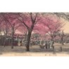 Rare collectable postcards of Japan. Vintage Postcards of Japan