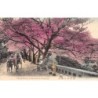 Rare collectable postcards of Japan. Vintage Postcards of Japan