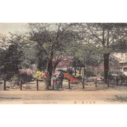 Rare collectable postcards of Japan. Vintage Postcards of Japan