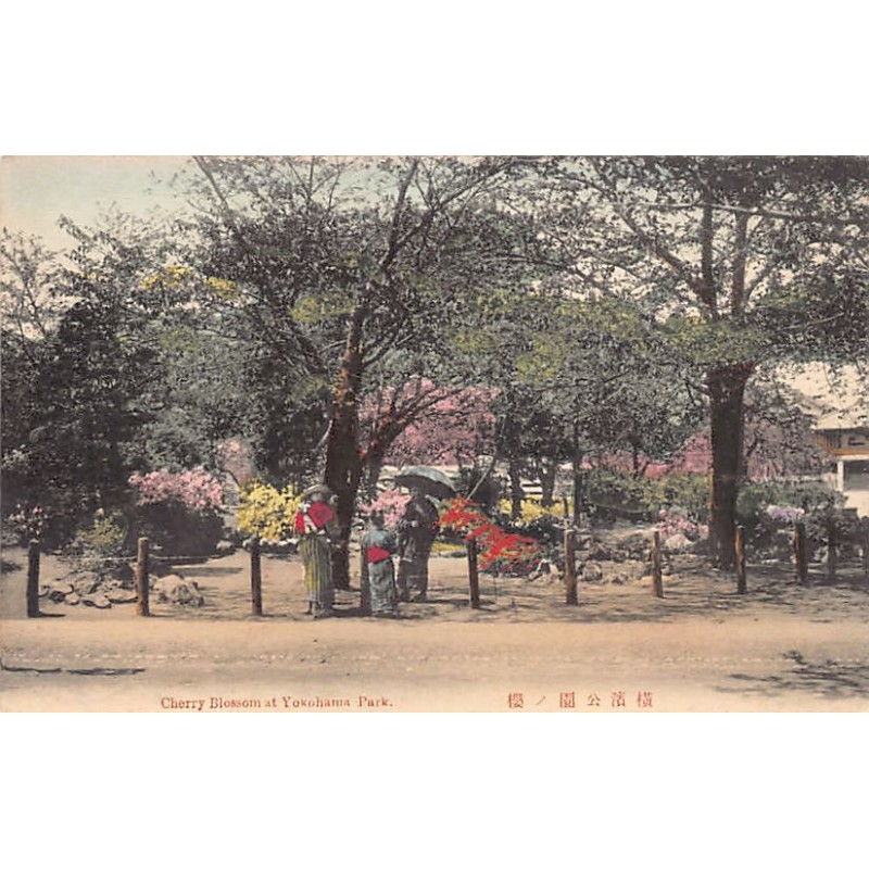 Rare collectable postcards of Japan. Vintage Postcards of Japan