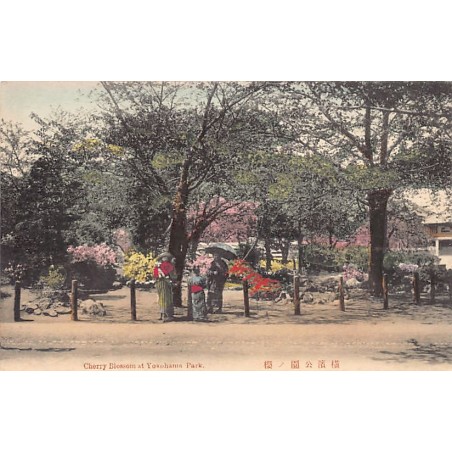 Rare collectable postcards of Japan. Vintage Postcards of Japan