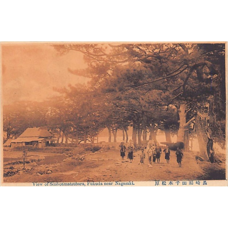 Rare collectable postcards of Japan. Vintage Postcards of Japan