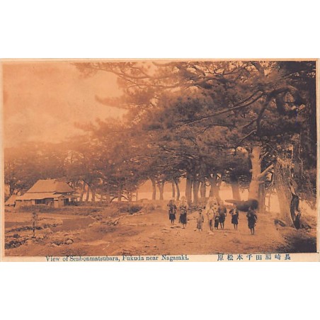 Rare collectable postcards of Japan. Vintage Postcards of Japan