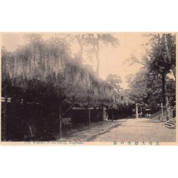 Rare collectable postcards of Japan. Vintage Postcards of Japan