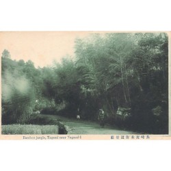 Rare collectable postcards of Japan. Vintage Postcards of Japan