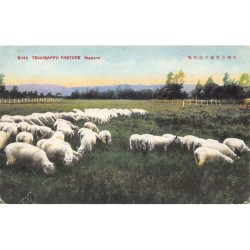 Rare collectable postcards of Japan. Vintage Postcards of Japan