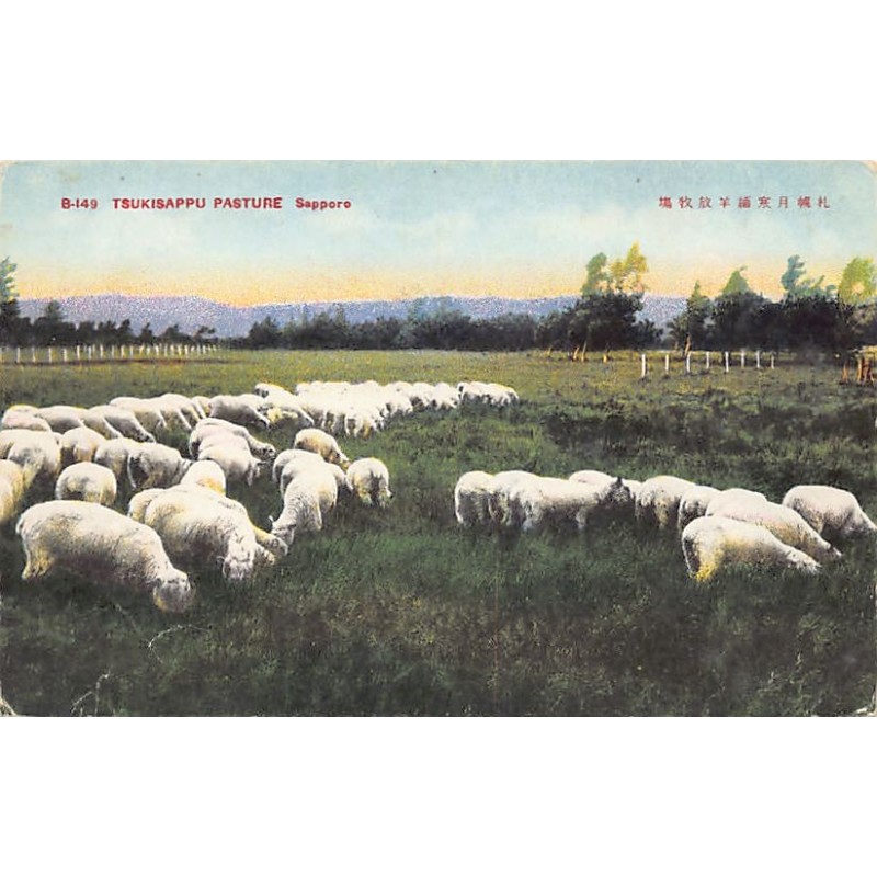 Rare collectable postcards of Japan. Vintage Postcards of Japan