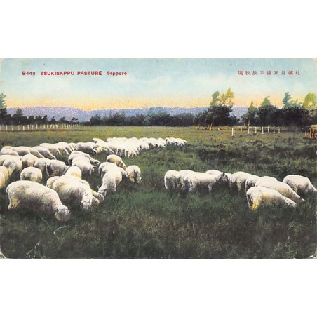 Rare collectable postcards of Japan. Vintage Postcards of Japan