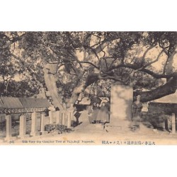 Rare collectable postcards of Japan. Vintage Postcards of Japan