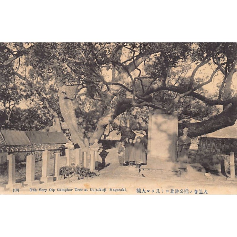 Rare collectable postcards of Japan. Vintage Postcards of Japan