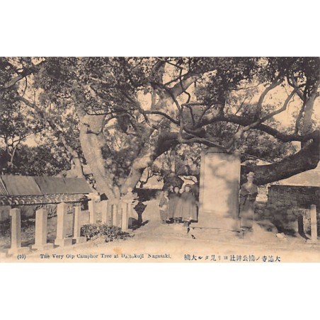 Rare collectable postcards of Japan. Vintage Postcards of Japan