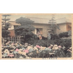 Rare collectable postcards of Japan. Vintage Postcards of Japan